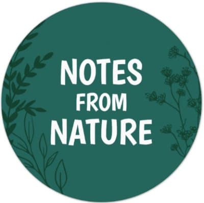 Notes From Nature