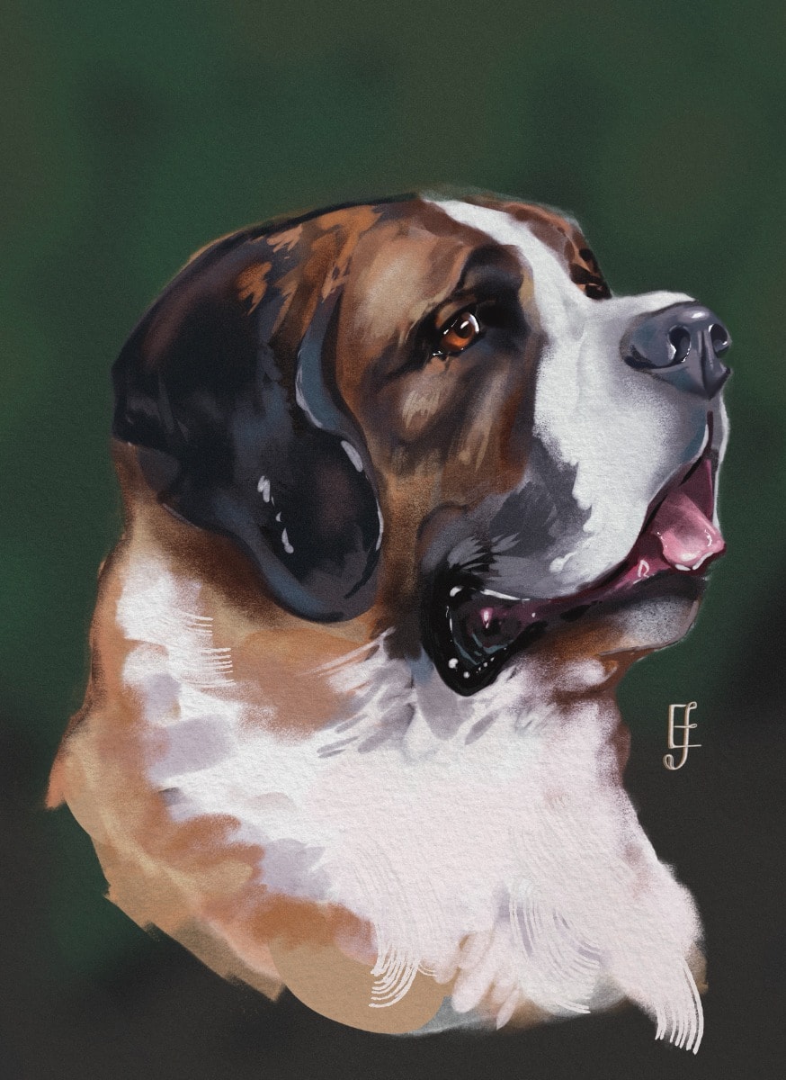 Pet Sitters Club: Animals & Pets