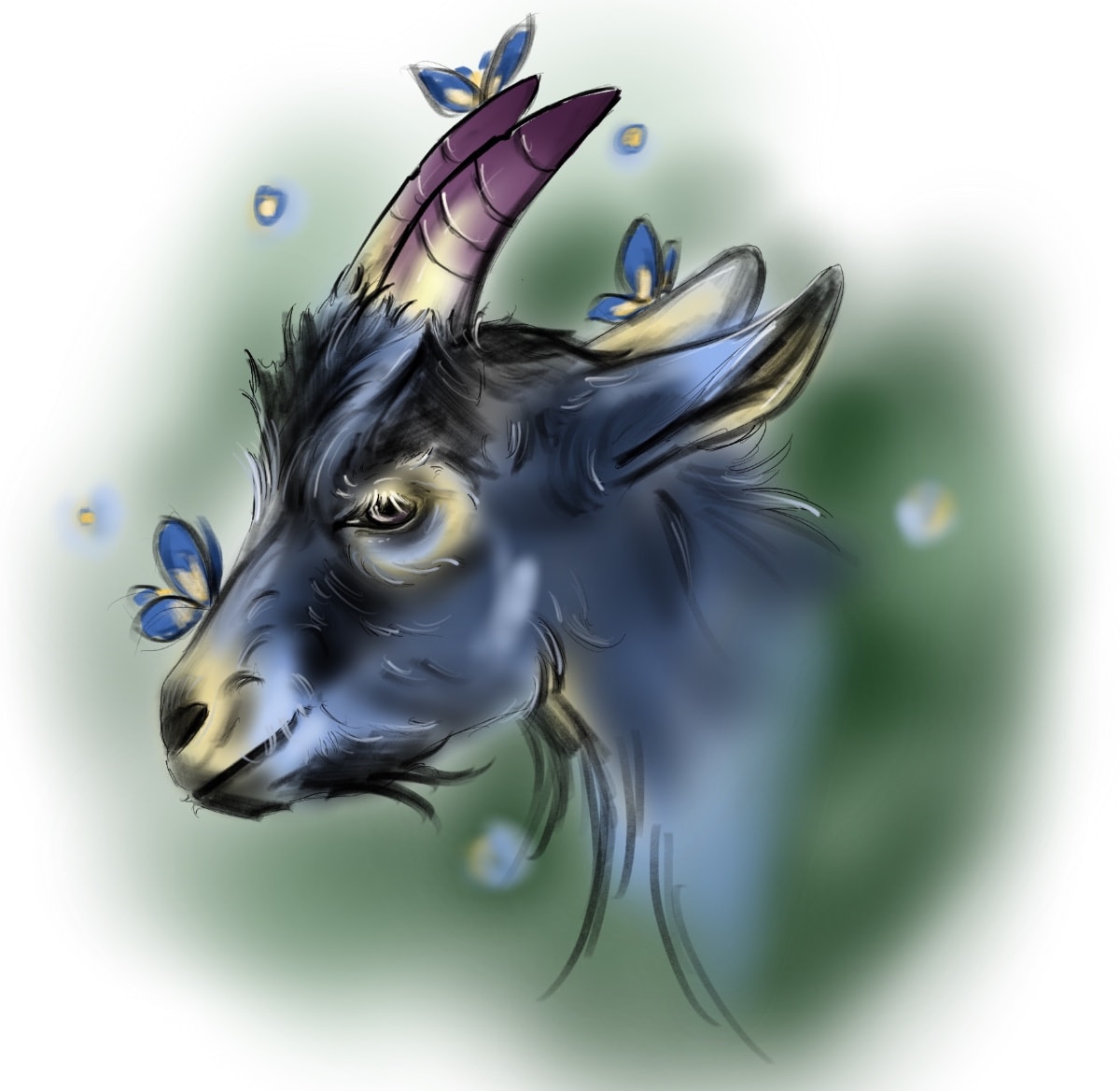 The Curious Goat