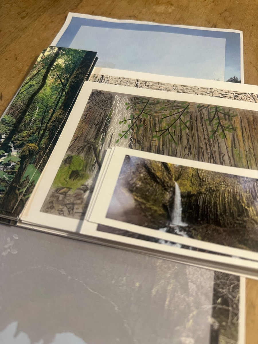Moss, Ferns and Kelp