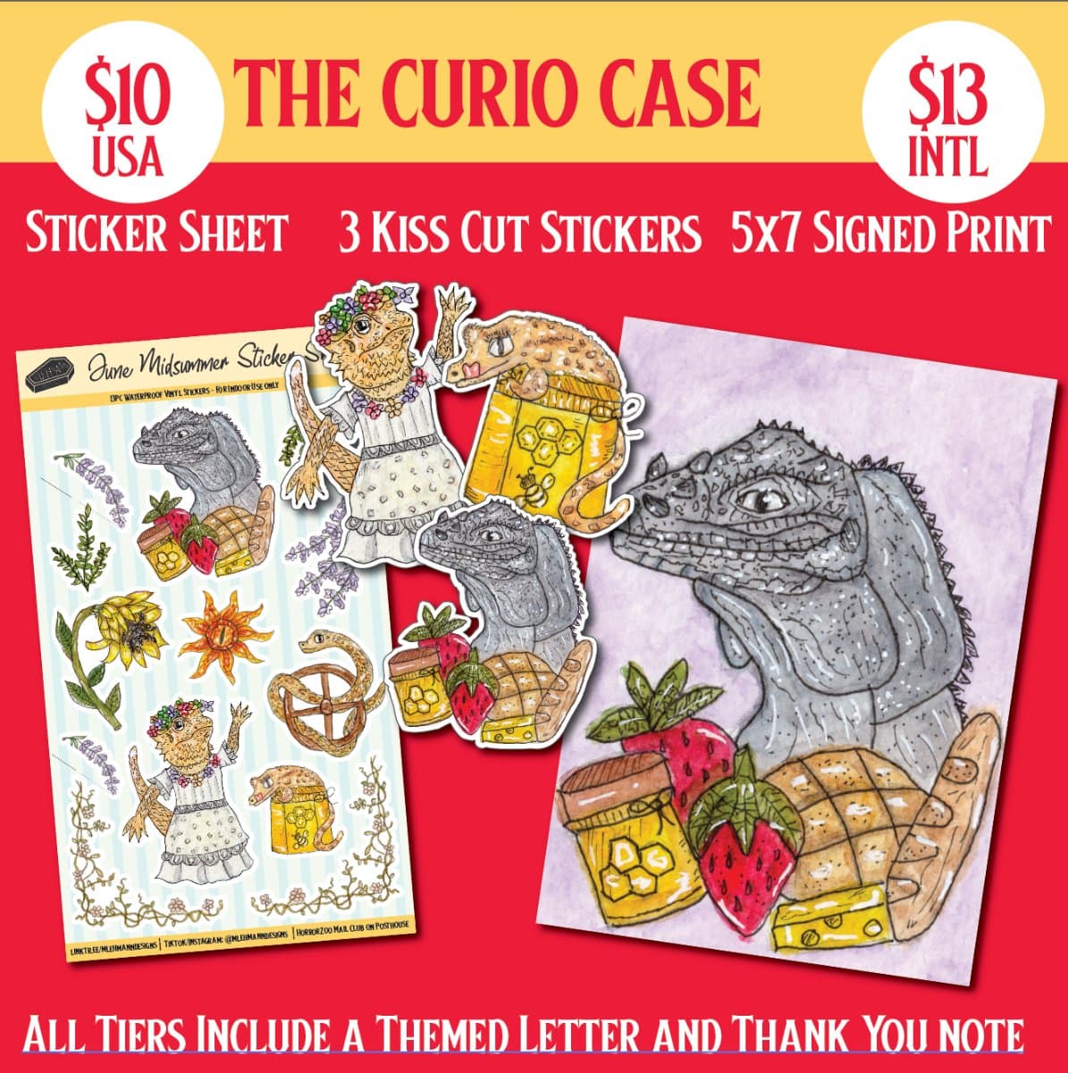 The Curio Case