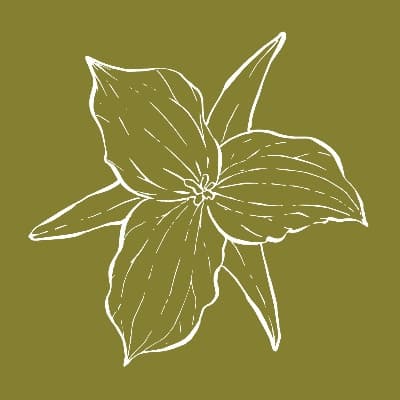 The Wild Trillium Press By Gunk In The Woods