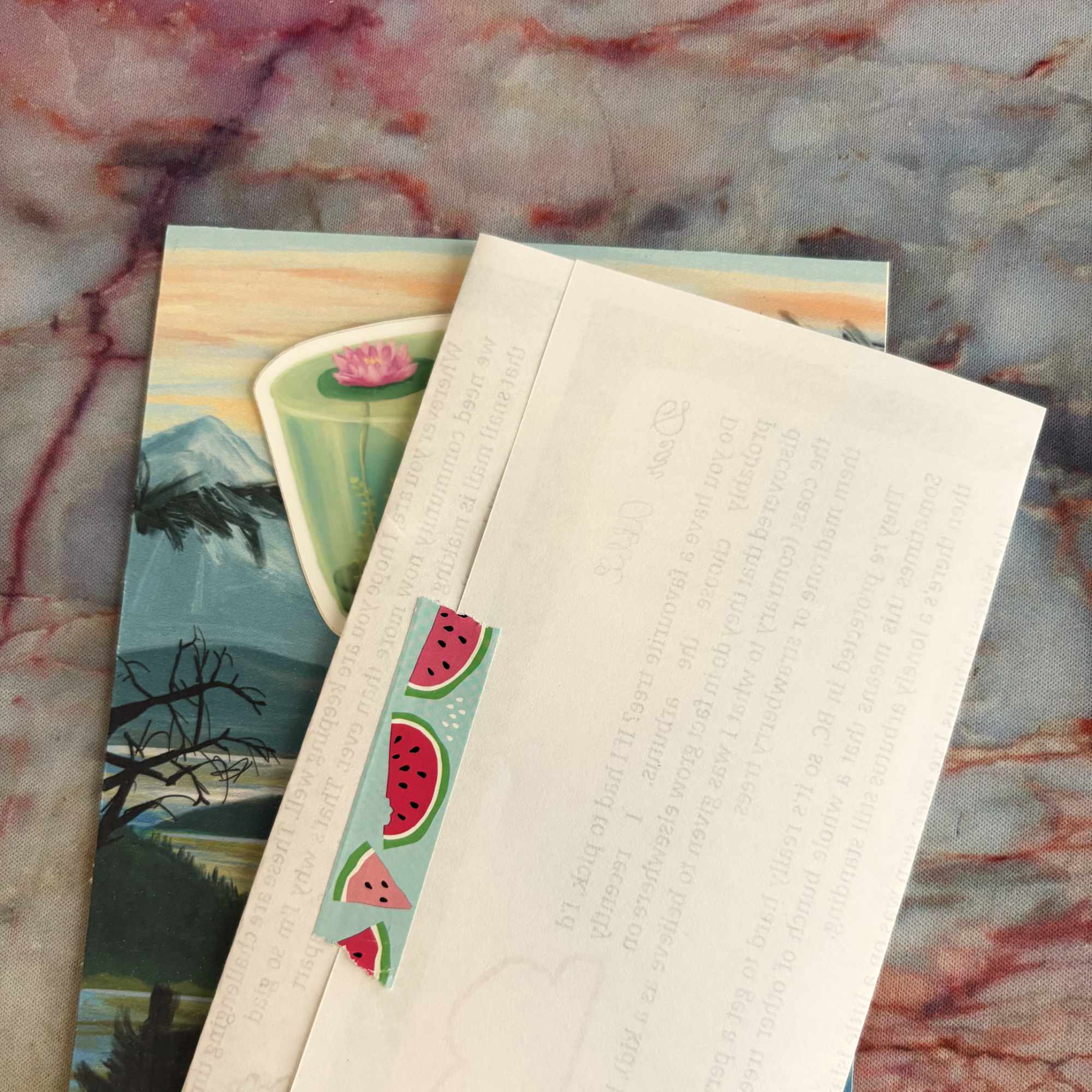 Snail Mail Club