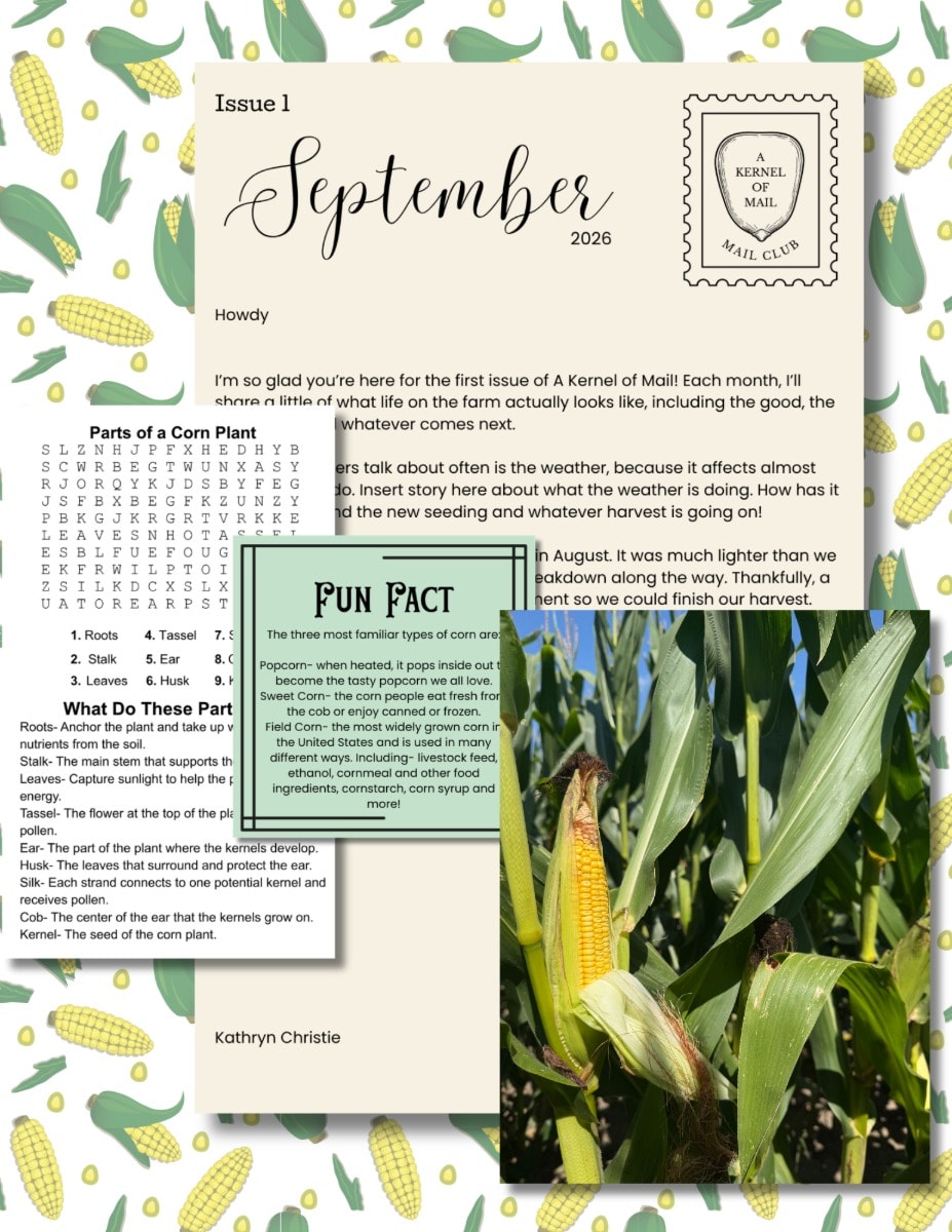 Monthly Mail 1 Activity Set