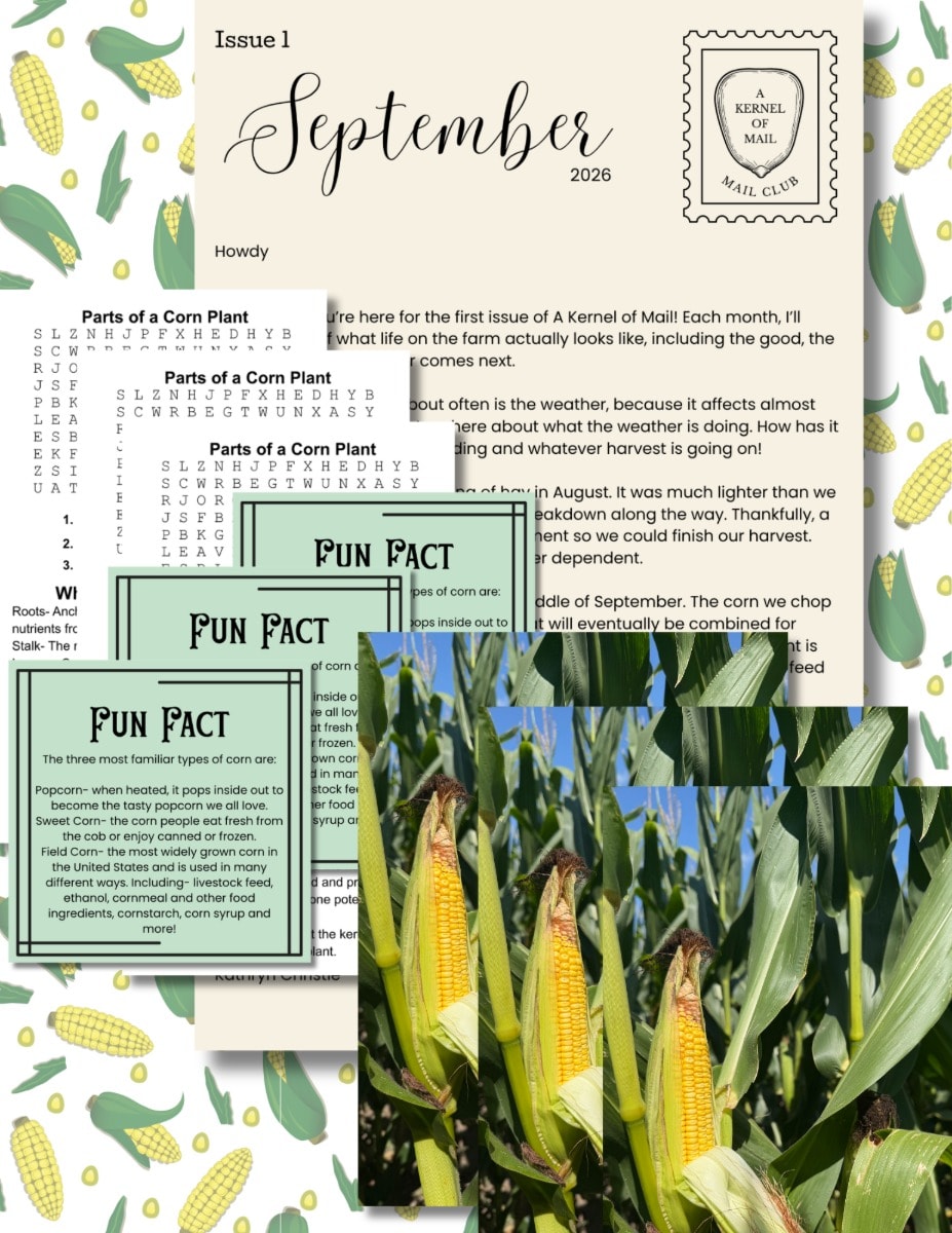 Monthly Mail 3 Activity Sets