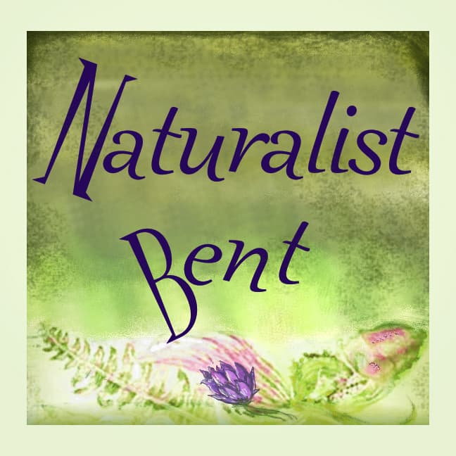 Naturalist Bent ~ Journaling Society Mail Club