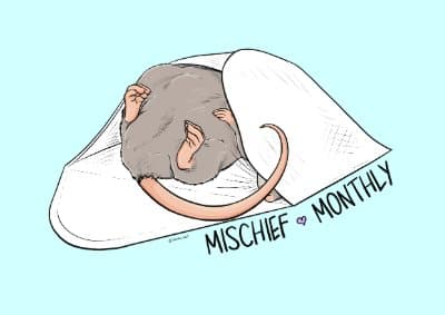 The Mischief Monthly
