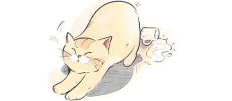 Cat's Meow